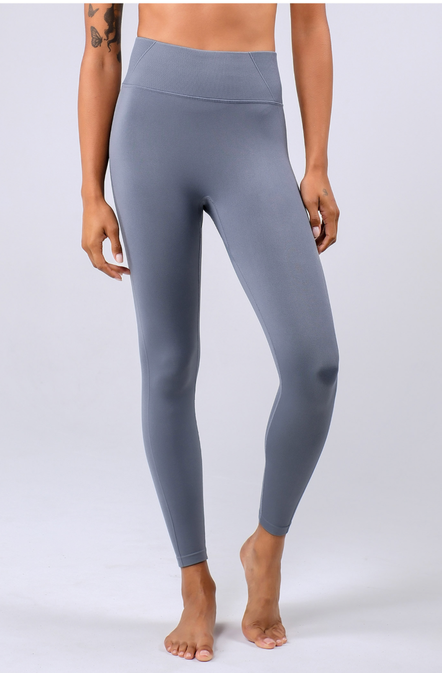 PL411 SEAMLESS LEGGINGS